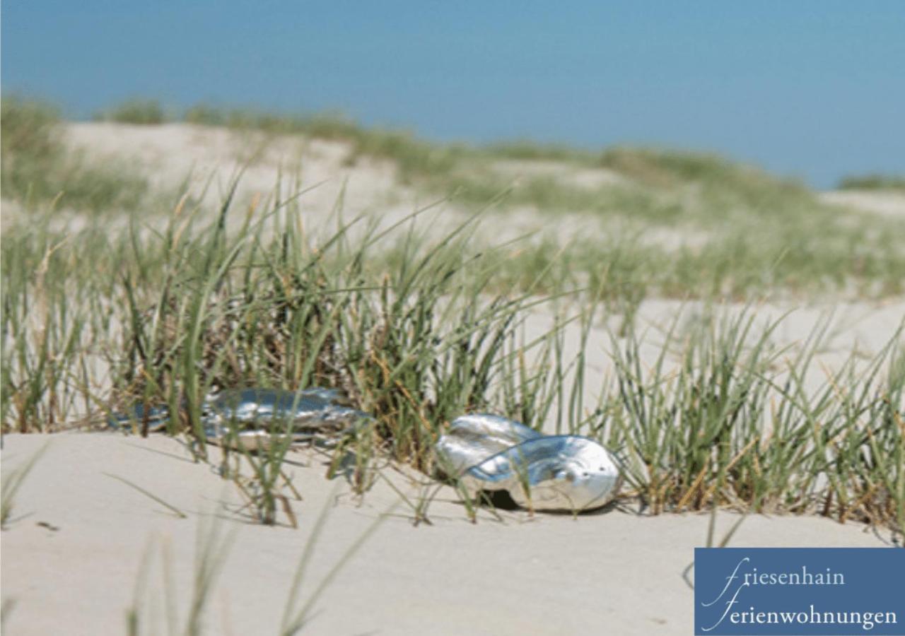 Friesenhain Ferienwohnungen Sankt Peter-Ording Ngoại thất bức ảnh